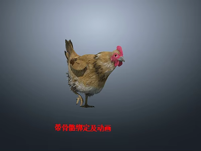 Realistic 3D Animated Chicken Model With Rigged Skeleton And Movements 3d model