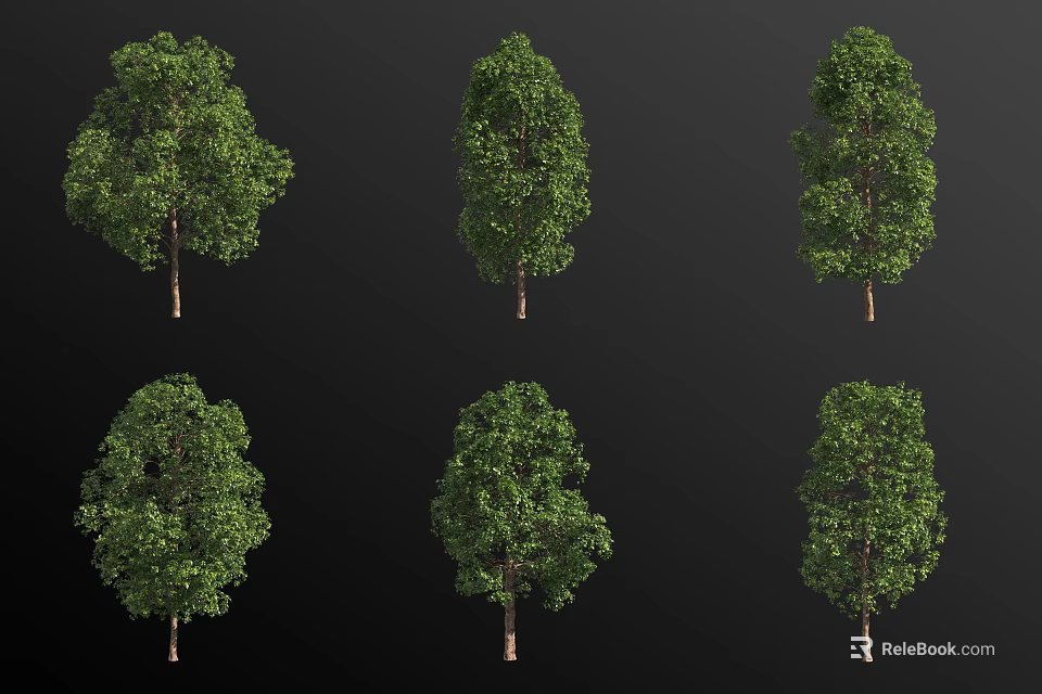 Various Shaped Arbor Trees With Lush Green Foliage And 3D Rendered 3d model