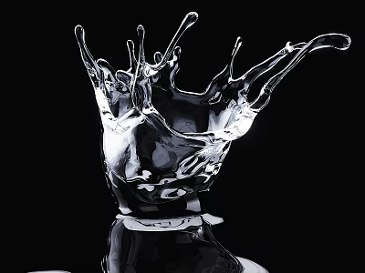 Transparent Water Splash Garden Ornament with Reflection on Black Background 3d model