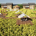 Rural Scenery Featuring Yellow Flower Fields Traditional Houses Windmill Wooden Platforms Sunshades And Chairs