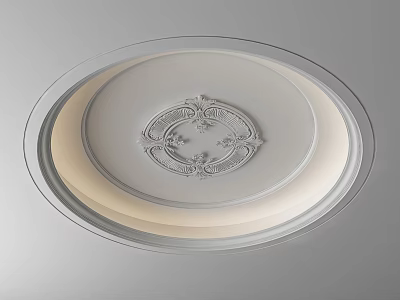 Decorative Round Ceiling Light Panel With Intricate Floral Pattern And Smooth Design For Modern Interior 3d model