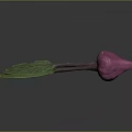 Fresh Purple Beetroot With Green Leaves And Natural Fresh Appearance