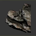 Natural Wood Stone Formation Featuring Rough Texture Irregular Shape And Pink Gray Hues