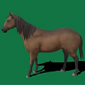 Brown horse with white forehead black mane white hooves standing on green background with shadow