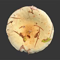 Fresh White Mushroom Vegetable Featuring Cap with Brown Spots and Yellow Fragments on Dark Background