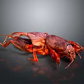 Detailed Brown Cockroach With Spread Wings On Dark Reflective Surface Showing Reflection 3d model