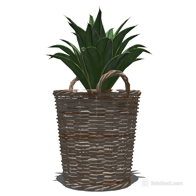 Bonsai Potted Plant In Wicker Basket With Green Leaves And Handles 3d model 