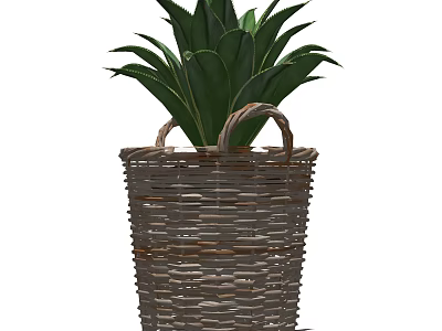 Bonsai Potted Plant In Wicker Basket With Green Leaves And Handles 3d model