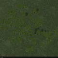 Aerial View Of Green Grassland With Scattered Tree Clusters In Natural Setting
