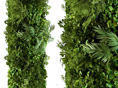 Lush Green Vertical Plant Walls With Diverse Foliage 3d model