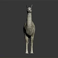 Realistic White Llama Standing On Black Background With Reflection And Details 3d model