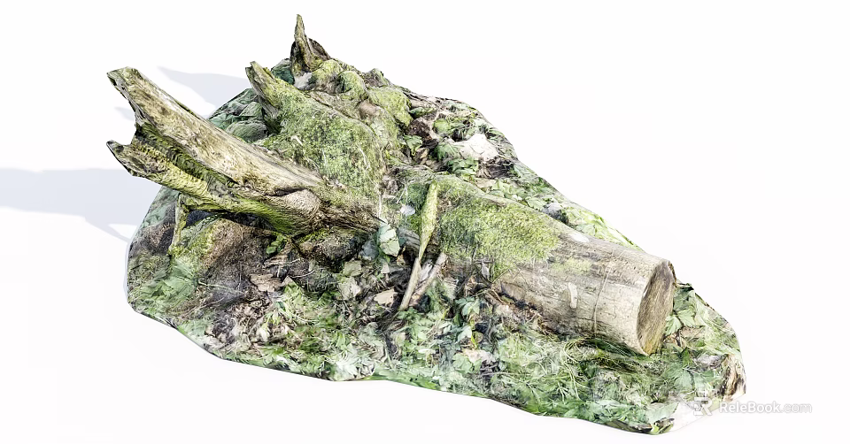 Natural Forest Ground With Moss Covered Stones And Wooden Logs 3d model 
