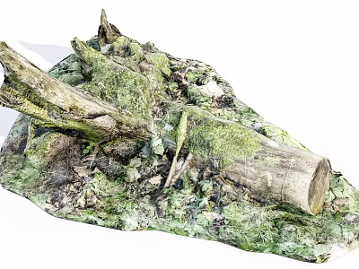 Natural Forest Ground With Moss Covered Stones And Wooden Logs 3d model