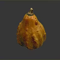 Organic Fresh Ripe Orange Pumpkin with Textured Skin and Green Stem