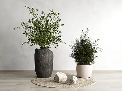 Bonsai Plants in Black Pot and White Planter on Woven Mat with Stones Grey Wall 3d model