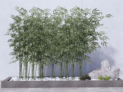Lush Bamboo Plants In Stone Planter With White Pebbles Gray Wall Rock And Small Plants 3d model