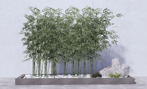 Modern bamboo indoor green bamboo combination 3d model