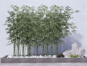 Modern bamboo indoor green bamboo combination 3d model