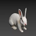 White Rabbit 3D Model in Sitting Pose with Long Ears and Red Eyes