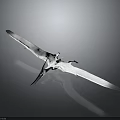 Realistic Prehistoric Pterosaur Animal With Outstretched Wings And Long Beak Flying Model