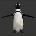 Realistic Black And White Penguin Standing With Open Wings On Gray Reflective Background