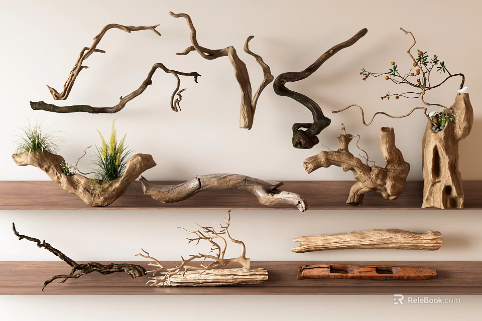 Natural Wooden Root Sculptures with Various Twisted Branches and Small Grass on Wooden Shelves 3d model 