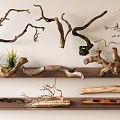 Natural Wooden Root Sculptures with Various Twisted Branches and Small Grass on Wooden Shelves