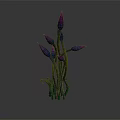 Botanical Plant with Purple Buds and Green Stems Growing Naturally