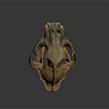 Ancient Animal Skull Fossil With Brown Textured Surface On Dark Background