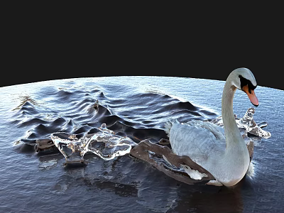 Graceful White Swan Swimming in Water Creating Splashing Waves and Ripples 3d model