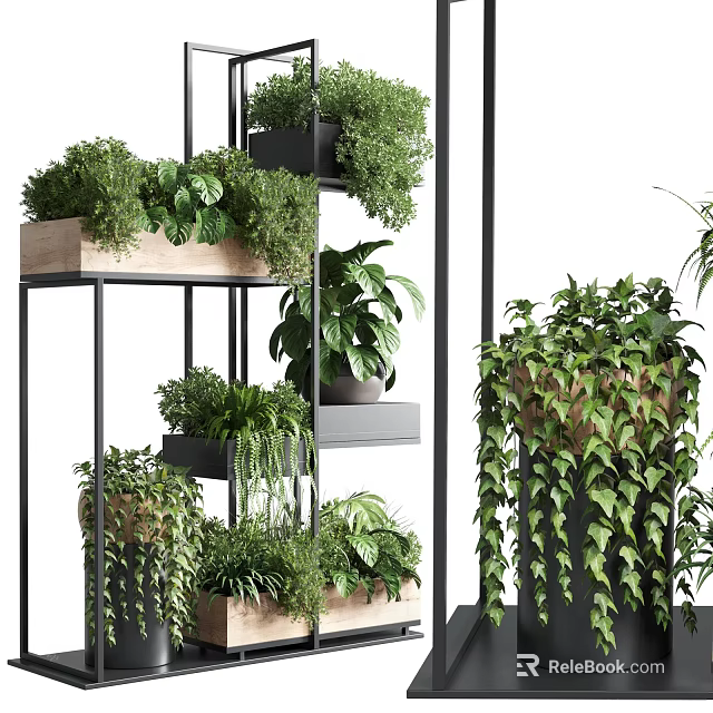 Layered Plant Shelves With Various Green Plants And Hanging Vines For Indoor Garden Decor 3d model 