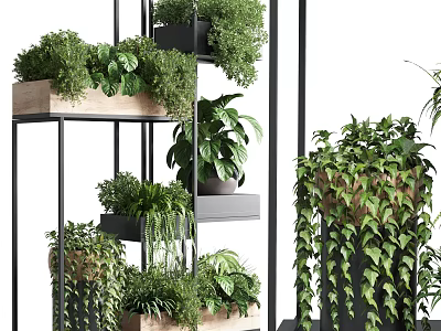Layered Plant Shelves With Various Green Plants And Hanging Vines For Indoor Garden Decor 3d model