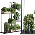 Layered Plant Shelves With Various Green Plants And Hanging Vines For Indoor Garden Decor