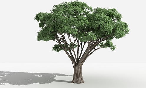 Modern tree tiger gram banyan 3d model