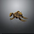 Turtle Skeleton With Detailed Bone Structure And Natural Lifelike Posture
