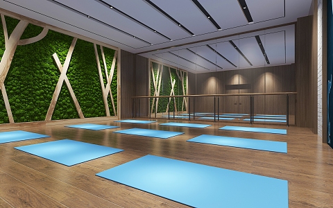 Modern Yoga Room 3d model