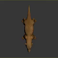 Small Brown Mammal With Long Snout Sharp Claws In Standing 3D Pose On Dark Background