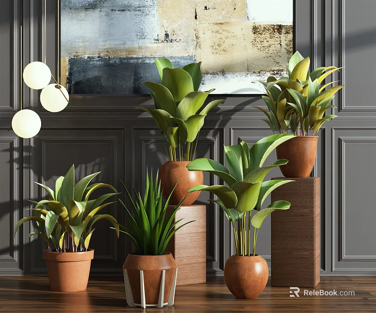 Potted Plants Interior Decoration With Brown Ceramic Pots Gray Wall And Hanging Lights 3d model 