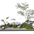 Indoor Landscape Design With Small Trees Stones Moss And Illuminated Lights