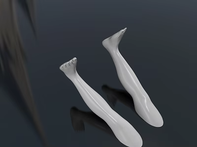 Detailed White Leg Models For Human Anatomy Display Against Dark Background 3d model