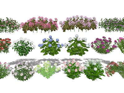 Modern Plant Landscape Flowers Hydrangea Flowers Green Plants 3d model