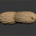 Healthy Natural Brown Shelled Raw Peanut With Textured Surface And Organic Shape