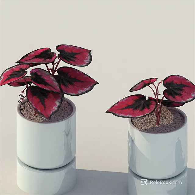 Potted Bonsai Plants with Red and Black Leaves in White Cylindrical Pots for Indoor Decor 3d model 