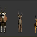 Low Poly Style 3D Antelope Models In Various Colors With Grey Background Reflections 3d model