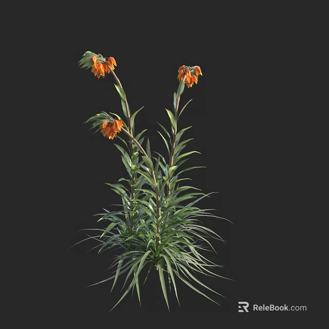 Tall Plants With Orange Flowers And Long Green Leaves On Black Background 3d model 