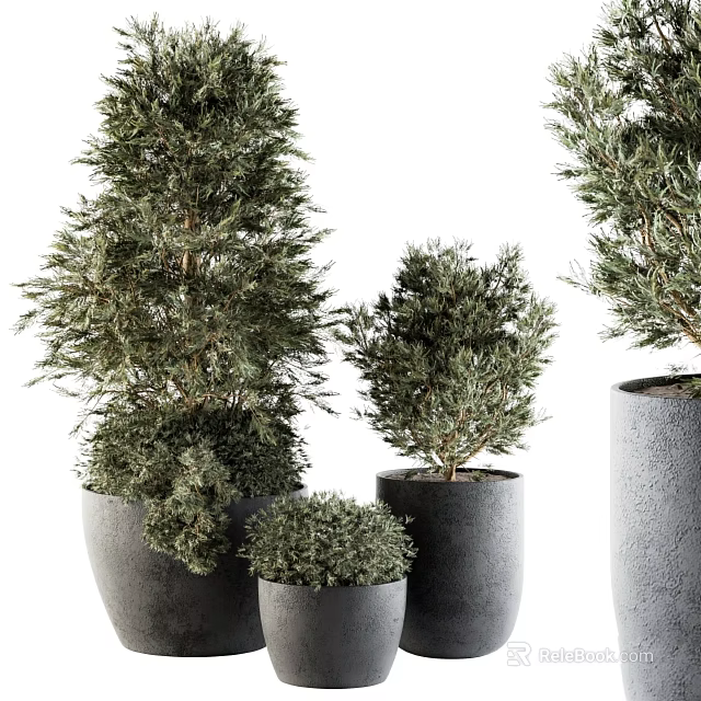 Lush Green Garden Decorative Plants With Various Sizes And Gray Planters 3d model 