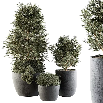 Lush Green Garden Decorative Plants With Various Sizes And Gray Planters 3d model