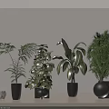 Green Potted Plants in Black Pots on Light Table with Gray Wall and Glass Decor