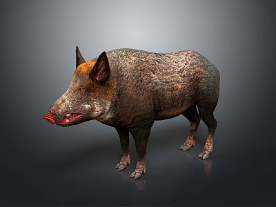 Wild Boar With Rough Brown Gray Fur And Red Snout In Standing Posture 3d model