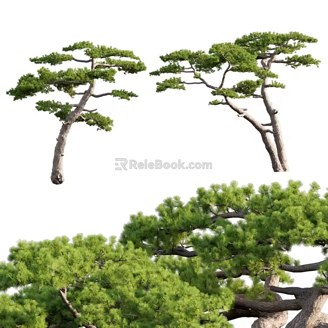 pine landscape tree 3d model